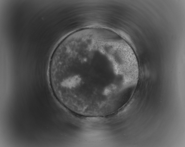 X0000088920863200706291526