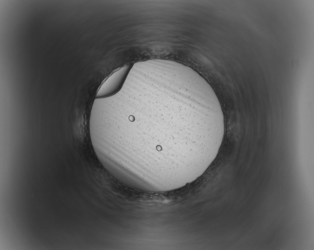 X0000088920866200706291525