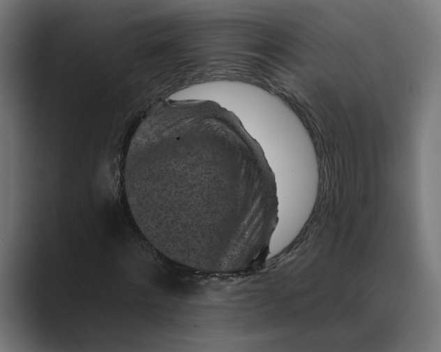 X0000088920868200706291525
