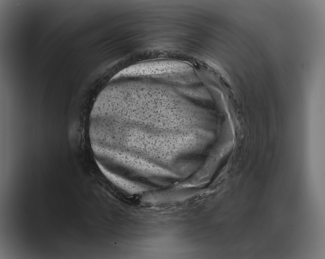 X0000088920872200706291525