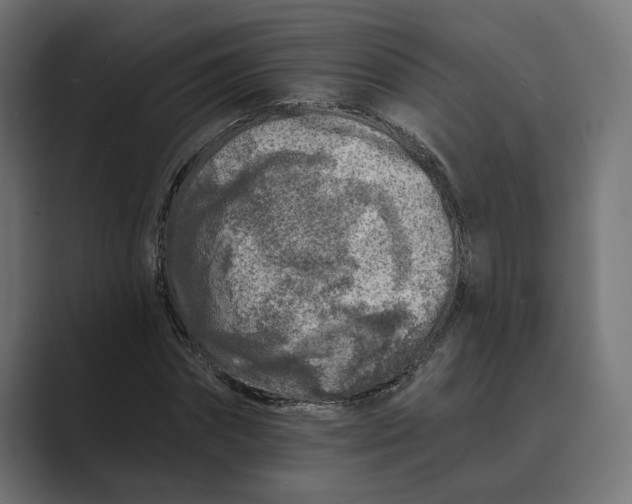 X0000088920874200706291525