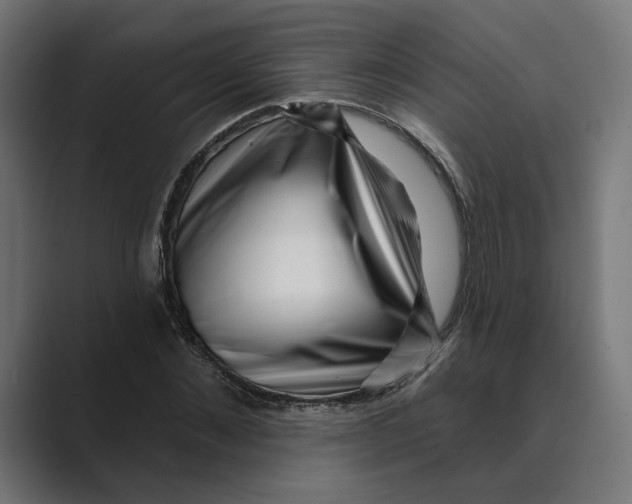 X0000088920876200706291525