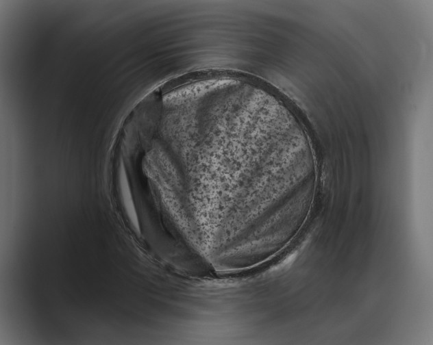 X0000088920877200706291525