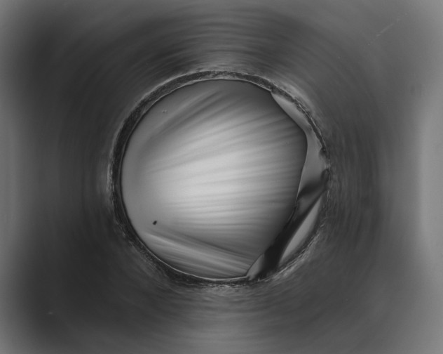 X0000088920880200706291525