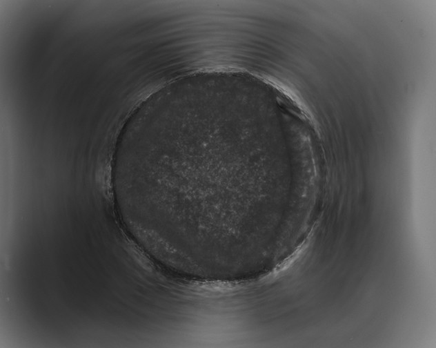 X0000088920881200706291525