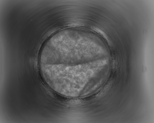 X0000088920882200706291525