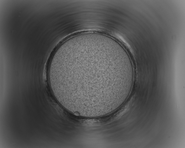 X0000088920883200706291525