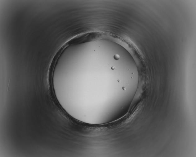 X0000088920884200706291525