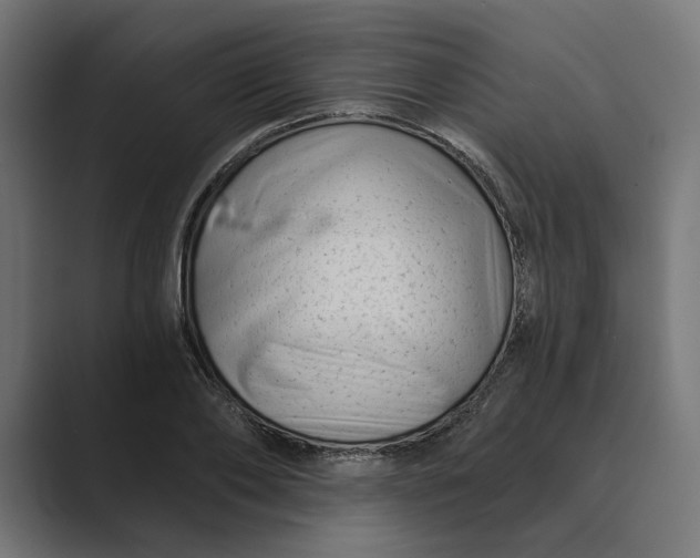 X0000088920886200706291525