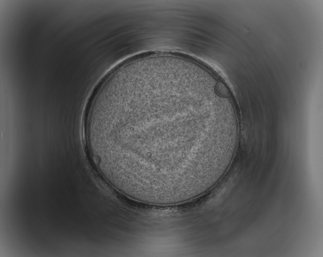 X0000088920887200706291525