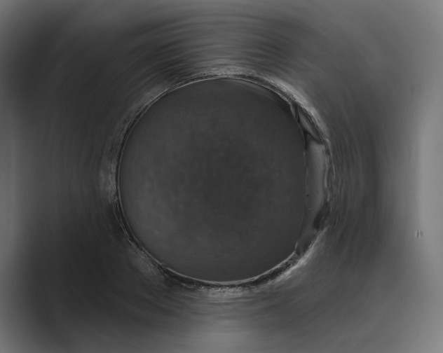 X0000088920889200706291525