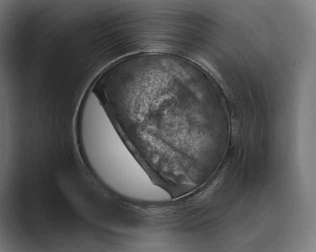 X0000088920891200706291525