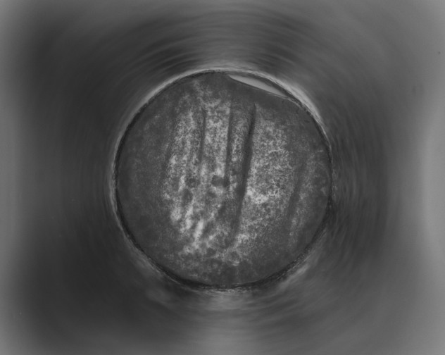 X0000088920895200706291525