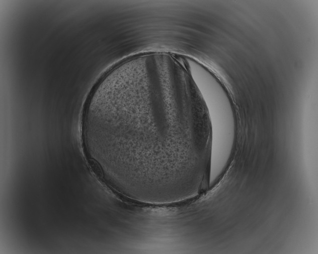 X0000088920896200706291525