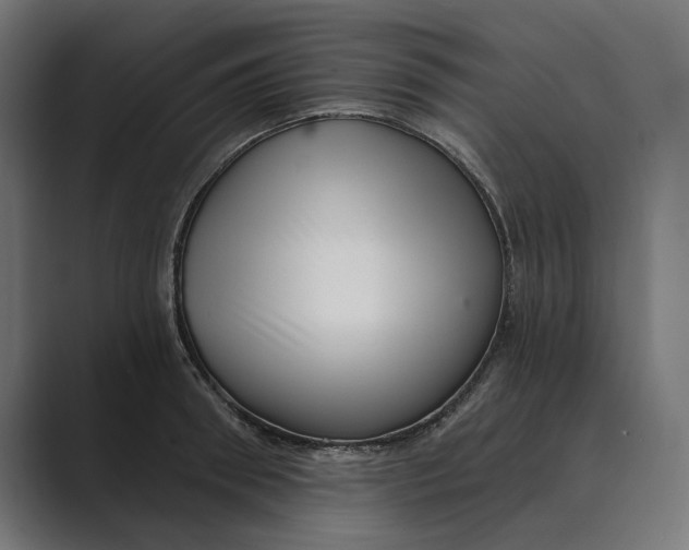 X0000088920898200706291525
