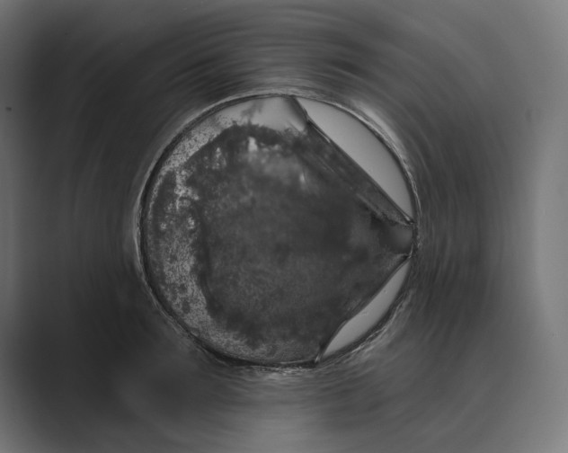 X0000088920899200706291525