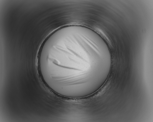 X0000088920900200706291525