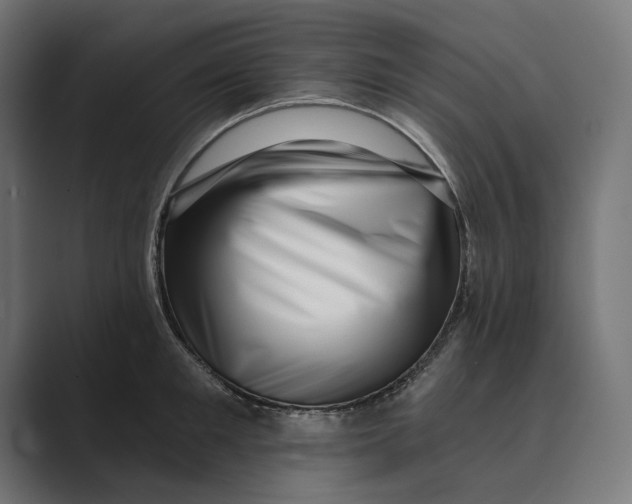 X0000088920901200706291525
