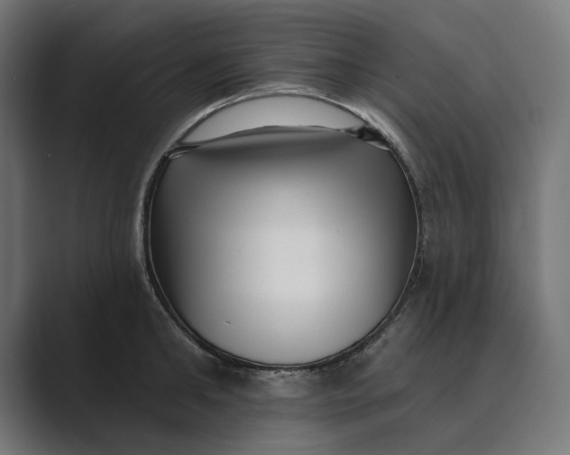 X0000088920902200706291525