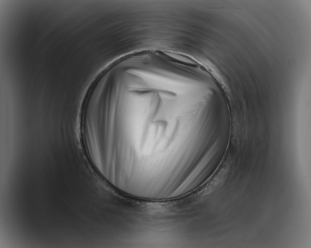 X0000088920904200706291525
