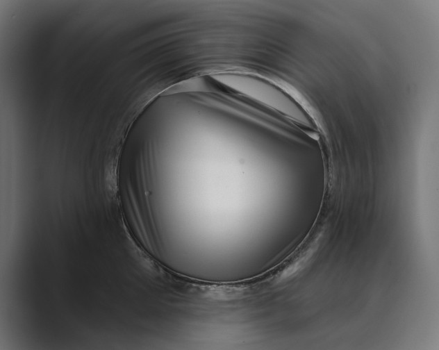 X0000088920905200706291525
