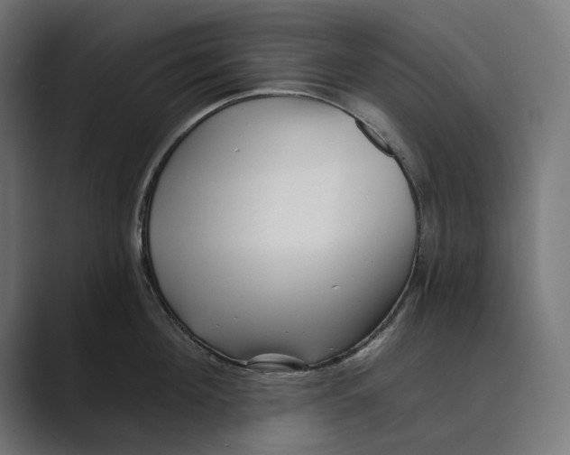 X0000088920908200706291525