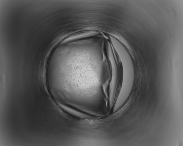 X0000088920910200706291525