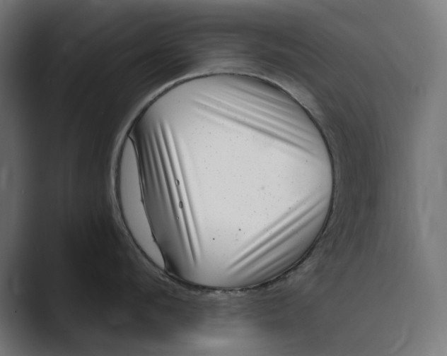 X0000088920912200706291525