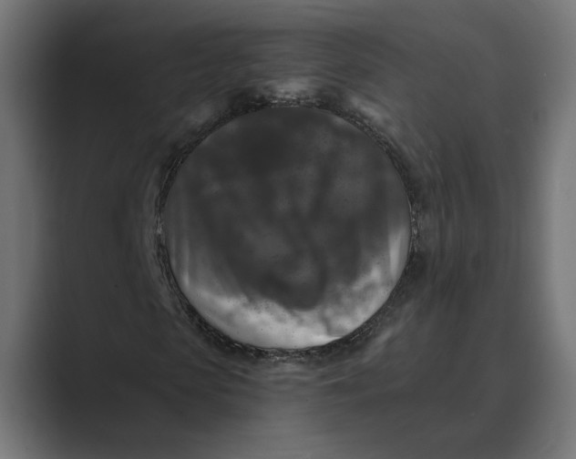 X0000088920913200706291524