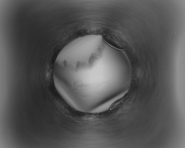 X0000088920914200706291524