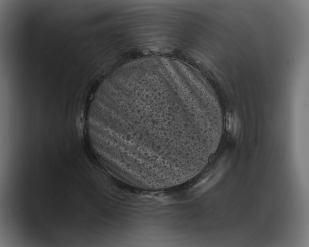 X0000088920915200706291524