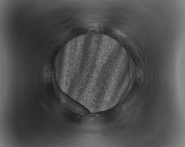 X0000088920916200706291524