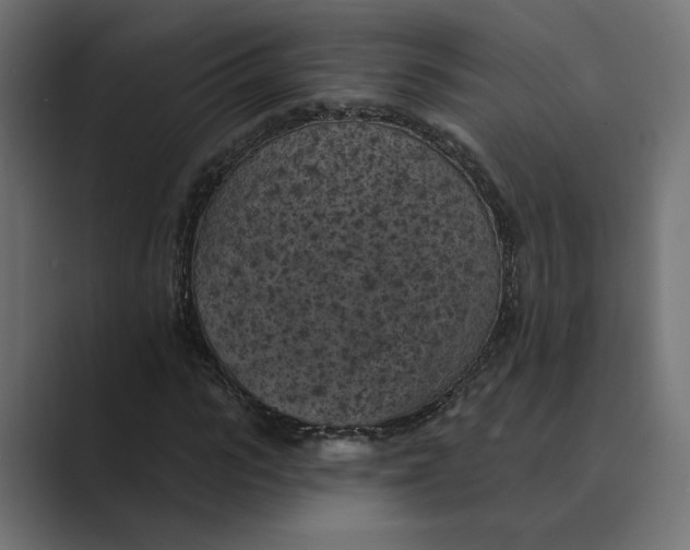 X0000088920919200706291524