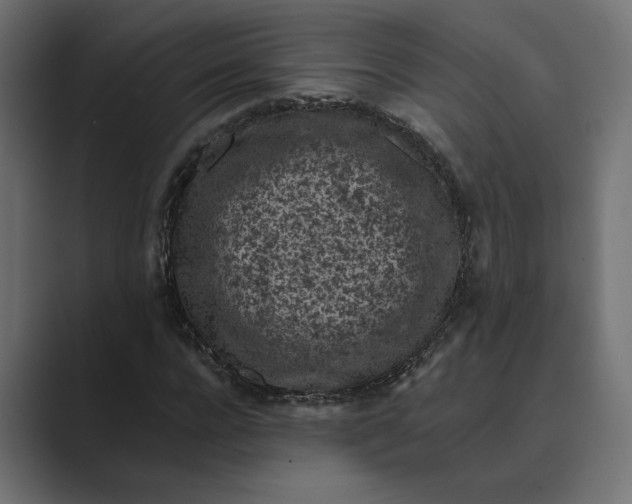 X0000088920920200706291524