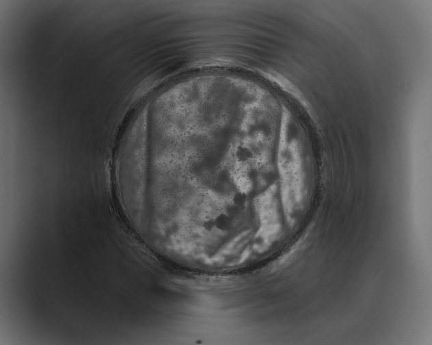 X0000088920921200706291524