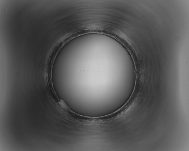 X0000088920922200706291524