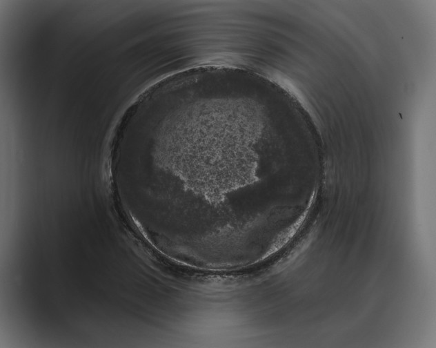 X0000088920923200706291524
