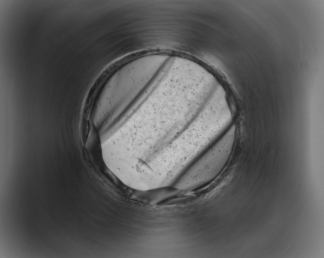 X0000088920924200706291524