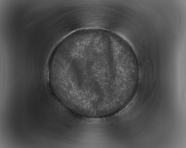 X0000088920925200706291524