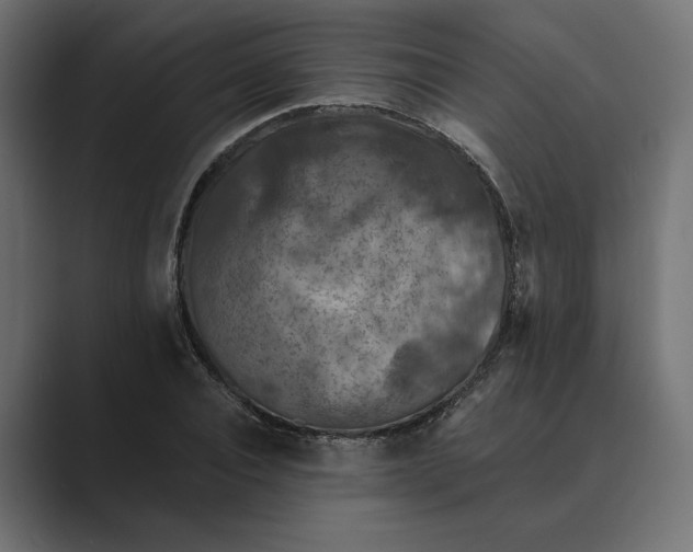 X0000088920928200706291524