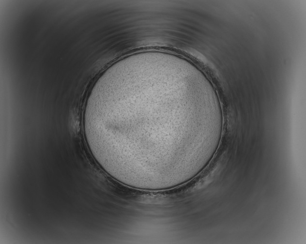 X0000088920929200706291524