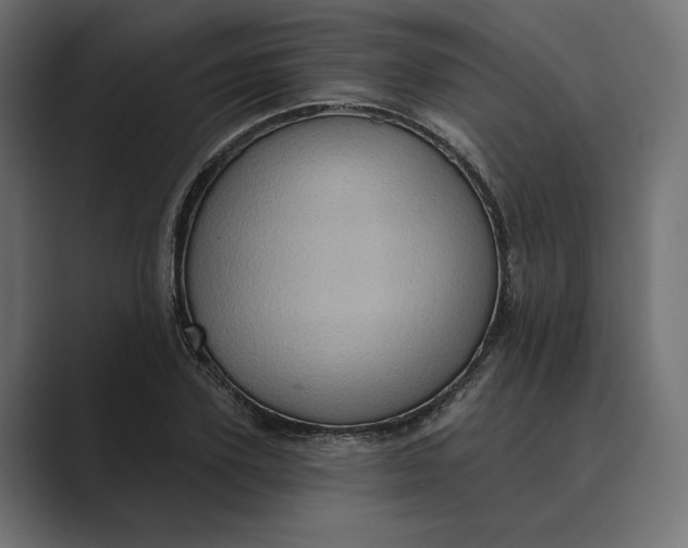 X0000088920931200706291524
