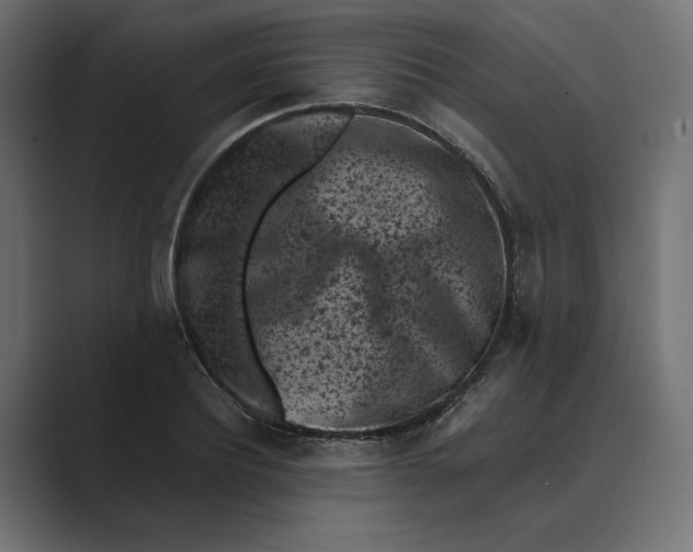 X0000088920932200706291524