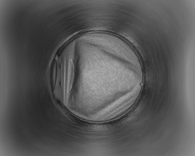 X0000088920933200706291524
