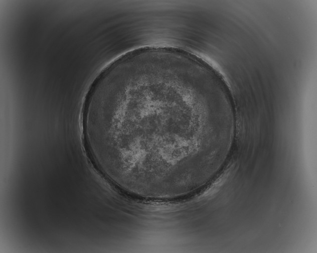 X0000088920935200706291524