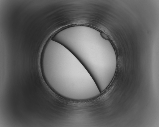 X0000088920939200706291524