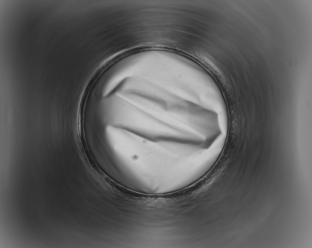 X0000088920940200706291525
