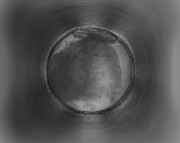 X0000088920941200706291525