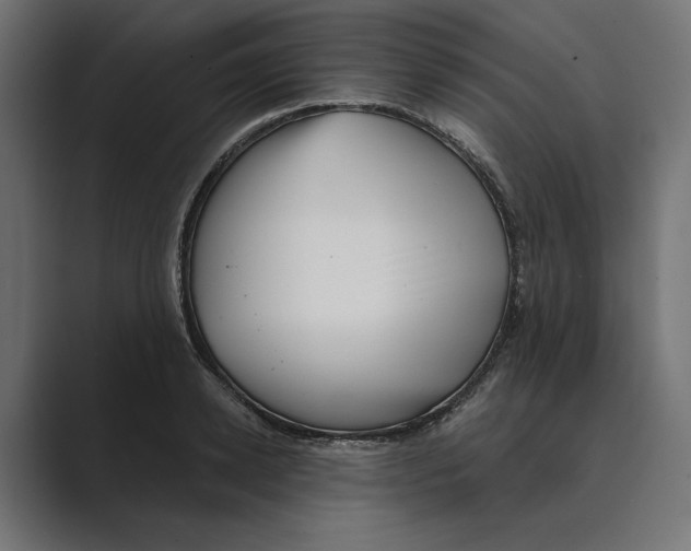 X0000088920942200706291525