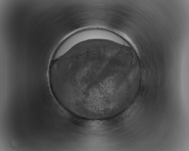 X0000088920943200706291525